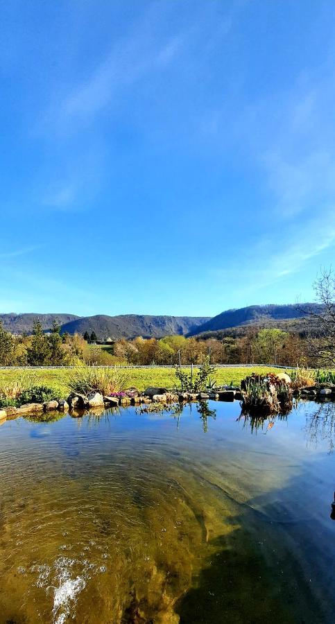 Apartmán Bergblick Thale Exteriér fotografie